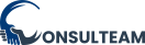 The Consulteam